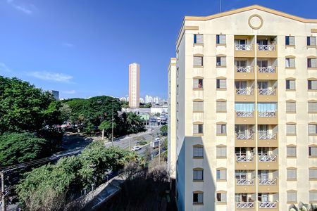Apartamento para alugar com 63m², 3 quartos e 1 vaga Apartamento para alugar com 63m², 3 quartos e 1 vagaVista do Quarto 2