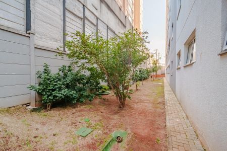 Apartamento à venda com 34m², 2 quartos e 1 vaga Apartamento à venda com 34m², 2 quartos e 1 vagaÁrea comum - Espaço Pet