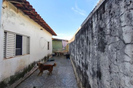 Quintal de casa à venda com 3 quartos, 150m² em Dic Vi (conjunto Habitacional Santo Dias Silva), Campinas