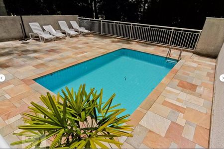 Área comum - Piscina de apartamento para alugar com 2 quartos, 50m² em Jardim Iris, São Paulo