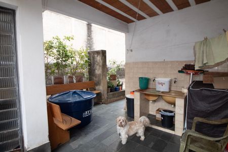 Área de Serviço de casa à venda com 3 quartos, 336m² em Lagoinha, Belo Horizonte
