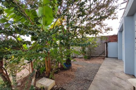 Quintal de casa à venda com 2 quartos, 42m² em Cidade Satélite Íris, Campinas