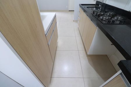 Cozinha  de apartamento para alugar com 2 quartos, 47m² em Jardim Florestan Fernandes, Ribeirão Preto