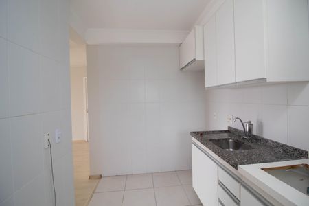Cozinha - Armários de apartamento para alugar com 3 quartos, 77m² em Picanço, Guarulhos