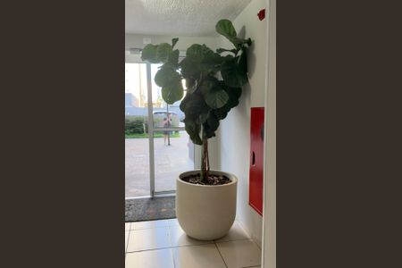 Apartamento para alugar com 45m², 2 quartos e 1 vaga Apartamento para alugar com 45m², 2 quartos e 1 vagaÁrea externa
