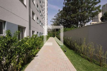 Área comum - Jardim de apartamento para alugar com 2 quartos, 38m² em Cidade São Mateus, São Paulo