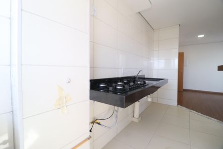 Cozinha de apartamento para alugar com 2 quartos, 49m² em Martins, Uberlândia