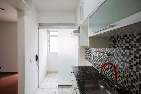Cozinha de apartamento para alugar com 2 quartos, 48m² em Vila Inglesa, São Paulo