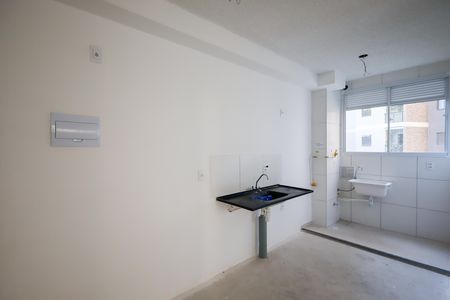 Cozinha de apartamento para alugar com 2 quartos, 33m² em Usina Piratininga, São Paulo
