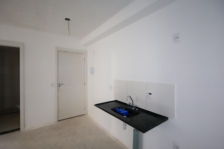 Cozinha de apartamento para alugar com 2 quartos, 33m² em Usina Piratininga, São Paulo