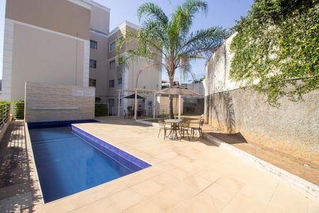 Área comum - Piscina de apartamento à venda com 2 quartos, 55m² em Alvorada, Contagem