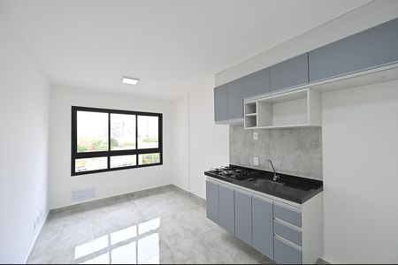 Apartamento para alugar com 1 quarto, 30m² em Planalto Paulista, São Paulo