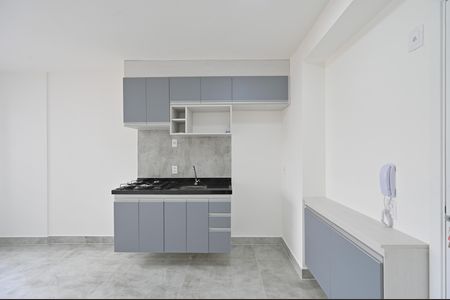 Cozinha de apartamento para alugar com 1 quarto, 30m² em Planalto Paulista, São Paulo