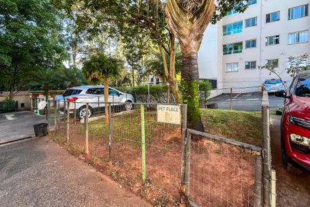 Area Pet de apartamento para alugar com 2 quartos, 52m² em Vila Moraes, São Paulo