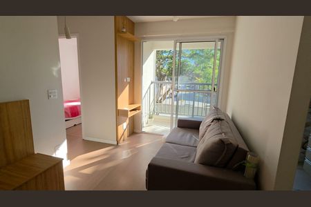 Sala de apartamento para alugar com 2 quartos, 40m² em Ipiranga, São Paulo