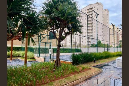 Área comum- Quadra de apartamento à venda com 2 quartos, 217m² em Fazenda Santa Cândida, Campinas