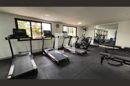 Área comum - Academia de apartamento para alugar com 2 quartos, 71m² em Vila Floresta, Santo André