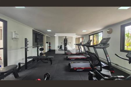 Área comum - Academia de apartamento para alugar com 2 quartos, 71m² em Vila Floresta, Santo André