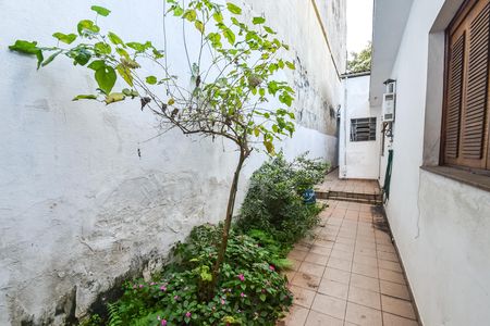 Quintal de casa à venda com 3 quartos, 290m² em Cambuci, São Paulo