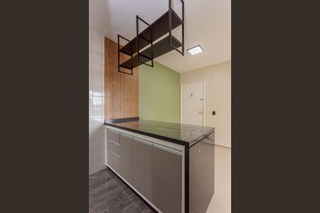 Sala de Jantar de apartamento para alugar com 2 quartos, 49m² em Jardim Sabara, São Paulo