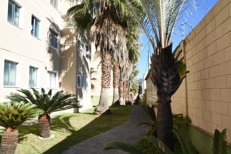 Apartamento para alugar com 71m², 3 quartos e 1 vaga Apartamento para alugar com 71m², 3 quartos e 1 vagaarea verde