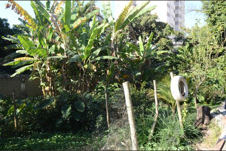 Apartamento para alugar com 78m², 3 quartos e 1 vagaÁrea externa