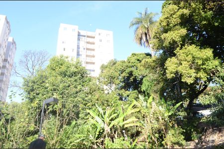 Apartamento para alugar com 78m², 3 quartos e 1 vagaÁrea externa
