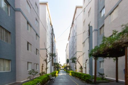Área comum de apartamento para alugar com 2 quartos, 45m² em Vila Alpina, São Paulo