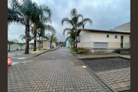 Apartamento para alugar com 2 quartos, 50m² em Santo Afonso, Novo Hamburgo