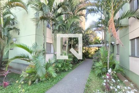 Área Comum  de apartamento para alugar com 2 quartos, 56m² em Santa Terezinha, São Bernardo do Campo