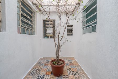 Apartamento para alugar com 73m², 2 quartos e sem vaga Apartamento para alugar com 73m², 2 quartos e sem vagaQuintal