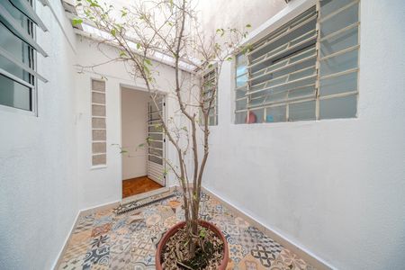 Quintal de apartamento para alugar com 2 quartos, 73m² em Bela Vista, São Paulo
