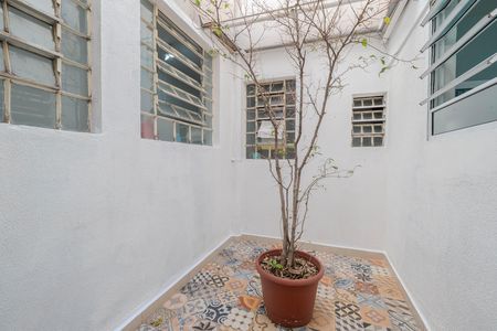 Apartamento para alugar com 73m², 2 quartos e sem vaga Apartamento para alugar com 73m², 2 quartos e sem vagaQuintal