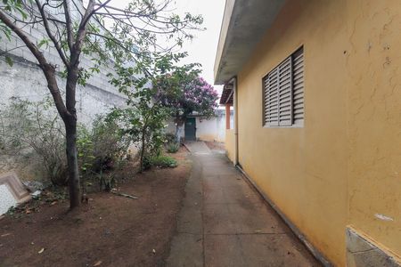Área Comum de casa para alugar com 1 quarto, 37m² em São Miguel Paulista, São Paulo