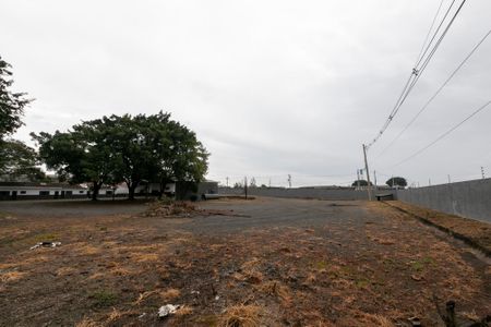Casa para alugar com 4750m², 3 quartos e sem vaga Casa para alugar com 4750m², 3 quartos e sem vagaÁREA COMUM - QUINTAL