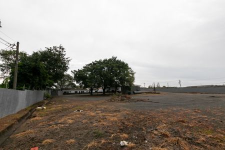 Casa para alugar com 4750m², 3 quartos e sem vaga Casa para alugar com 4750m², 3 quartos e sem vagaÁREA COMUM - QUINTAL