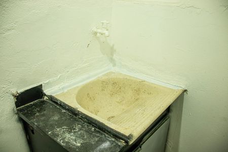 LAVANDERIA de apartamento para alugar com 1 quarto, 53m² em Vila Bom Jardim, São Paulo