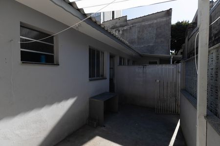 Área de Serviço / Quintal de casa para alugar com 1 quarto, 32m² em Vila Guilherme, São Paulo