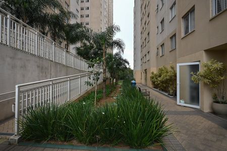 Jardim de apartamento para alugar com 2 quartos, 41m² em Jardim Celeste, São Paulo