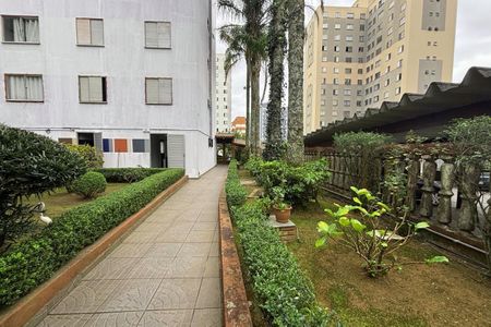 Área comum ( bloco)  de apartamento para alugar com 2 quartos, 53m² em Santa Terezinha, São Bernardo do Campo