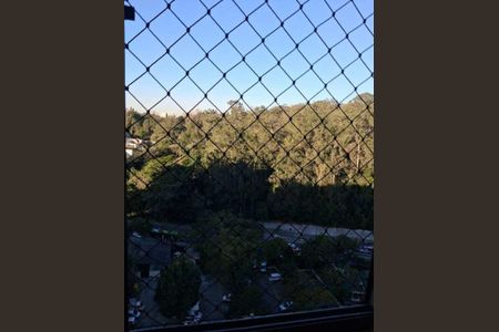 Apartamento à venda com 3 quartos, 65m² em Jardim das Flores, São Paulo