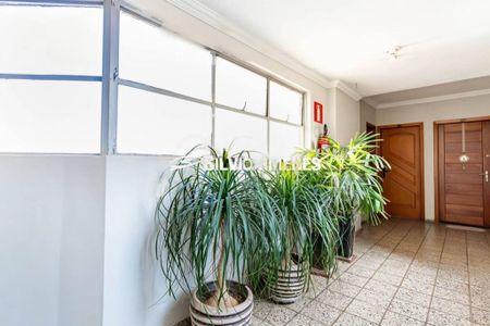 Apartamento à venda com 3 quartos, 90m² em Sagrada Família, Belo Horizonte