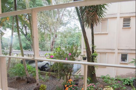 Apartamento para alugar com 50m², 2 quartos e 1 vagaVista do Quarto 1