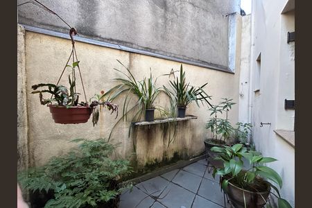Quintal de casa para alugar com 6 quartos, 167m² em Cidade Mãe do Céu, São Paulo
