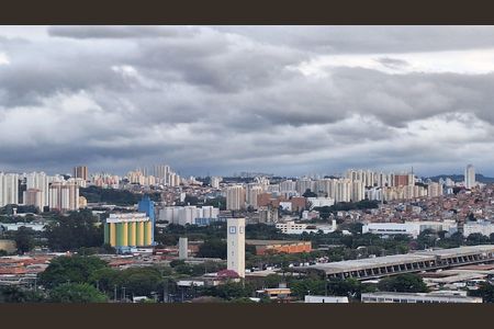 Apartamento para alugar com 144m², 3 quartos e 3 vagasVista
