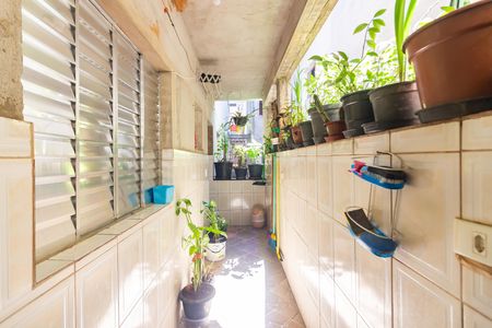 Quintal de casa à venda com 5 quartos, 300m² em Santa Maria, Osasco