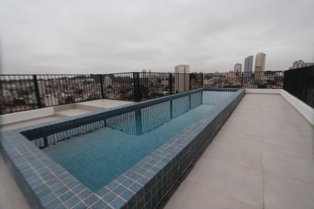 Área comum - Piscina de apartamento para alugar com 2 quartos, 43m² em Vila Formosa, São Paulo