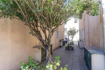 Kitnet/Studio para alugar com 1 quarto, 38m² em Vila Santa Luzia, São Bernardo do Campo
