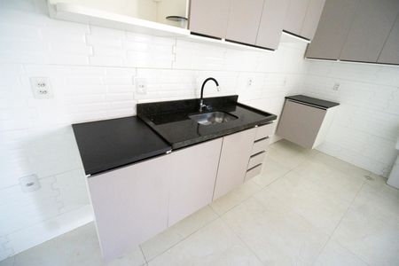 Pia de apartamento à venda com 2 quartos, 46m² em Chácara Santo Antônio (zona Leste), São Paulo