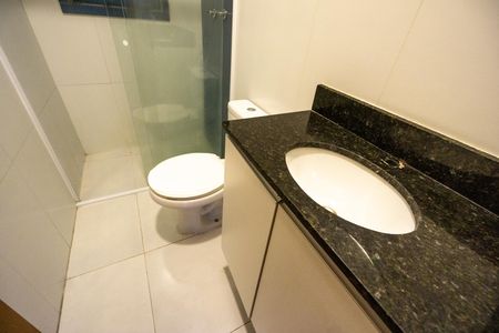 Pia de apartamento à venda com 2 quartos, 46m² em Chácara Santo Antônio (zona Leste), São Paulo